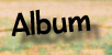 Futile Muziek - Album